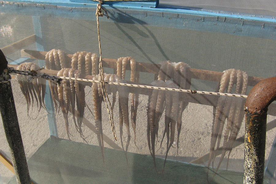 16_kalymnos06.jpg, 217kB