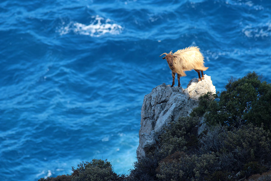 17_kalymnos_05.jpg, 141kB
